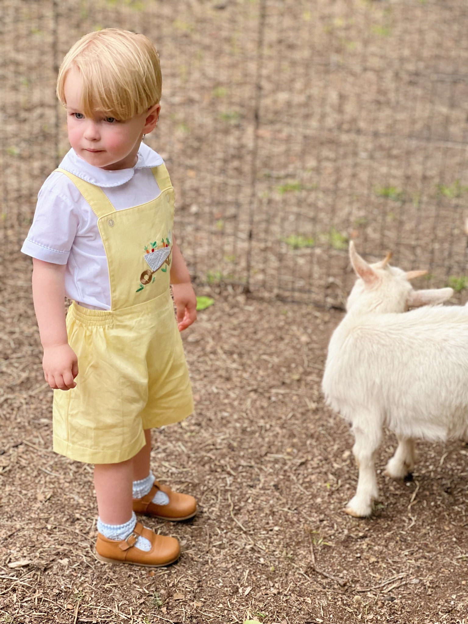 Easter and Spring Outfit! 💛

#LTKSeasonal #LTKkids #LTKbaby