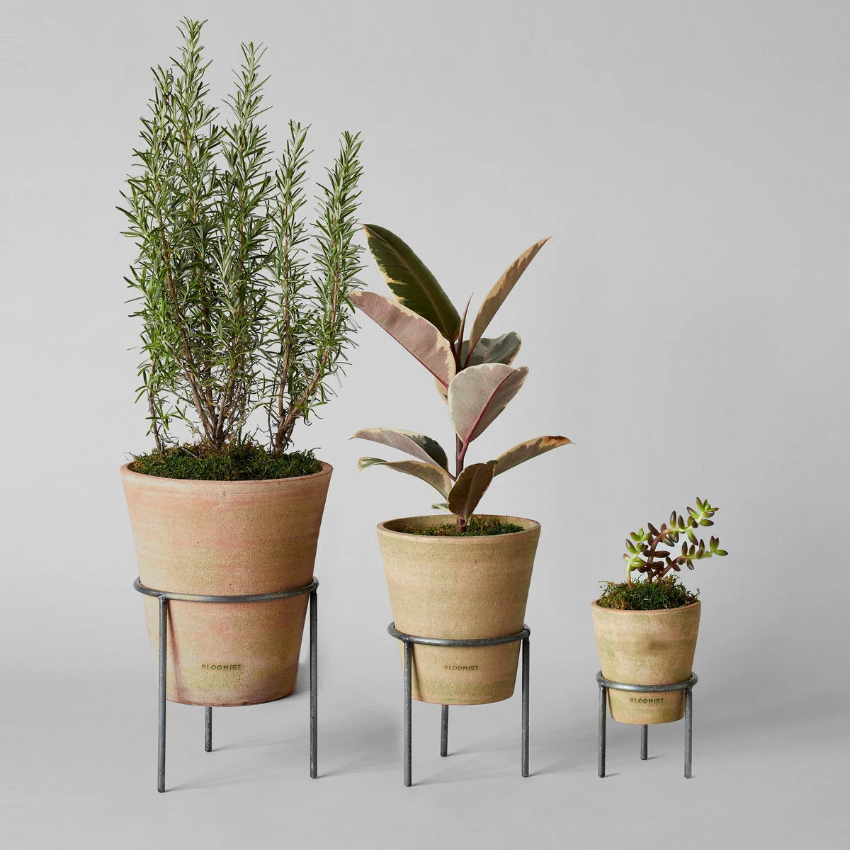 Greenwash Terracotta Studio Planter | Artisan Made | Bloomist | Bloomist, Inc