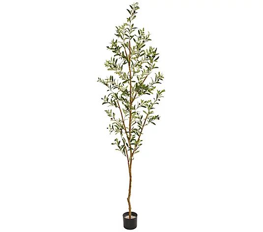 82" Olive Artificial Tree by Nearly Natural - QVC.com | QVC