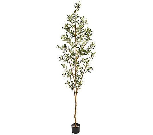 82" Olive Artificial Tree by Nearly Natural | QVC