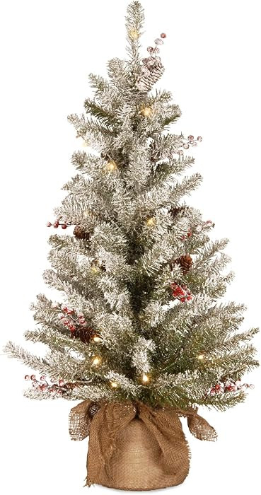 National Tree Company Pre-Lit Artificial Mini Christmas Tree, Green, Dunhill Fir, White Lights, D... | Amazon (US)