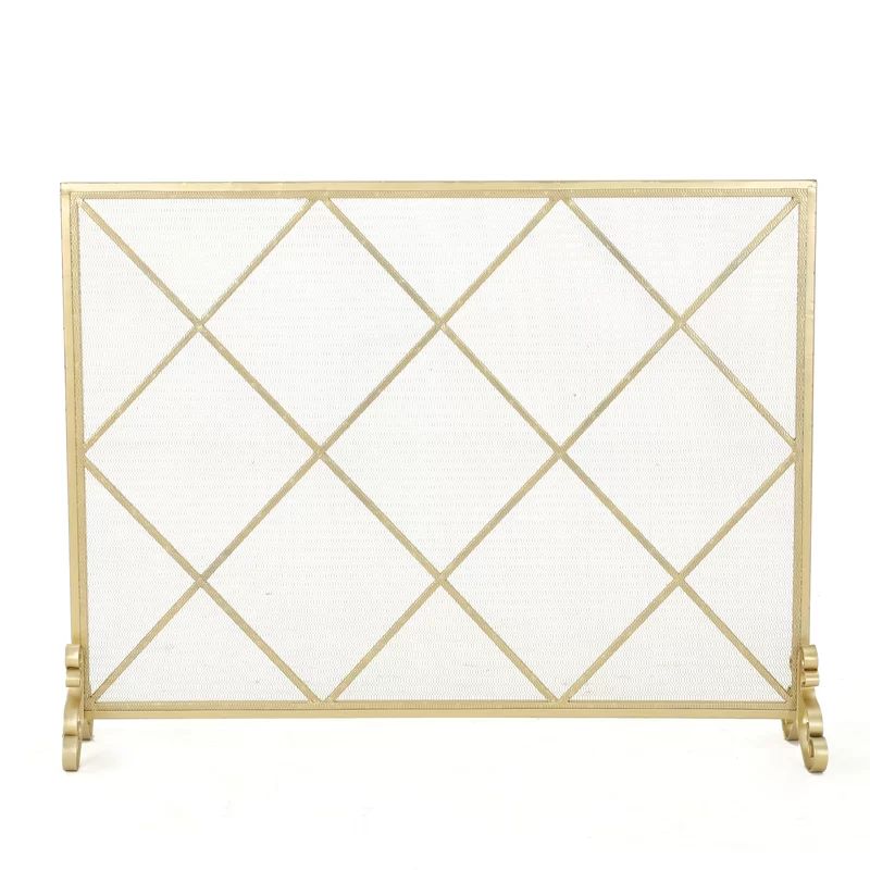 Tepper Single Panel Iron Fireplace Screen | Wayfair North America