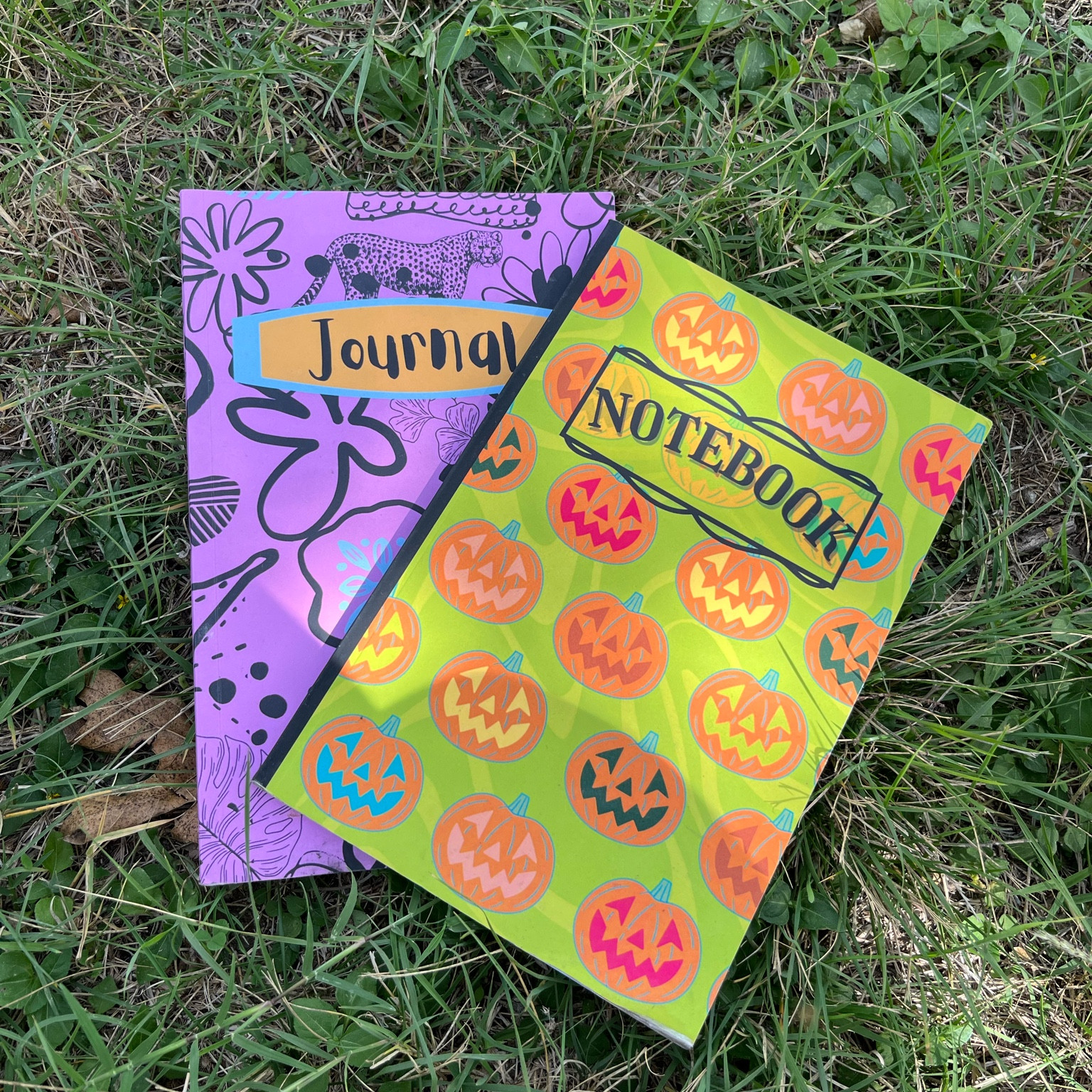 Perfect notebooks for spooky szn 🎃 #notebook #journal #school

#LTKFamily #LTKHalloween #LTKSaleAlert
