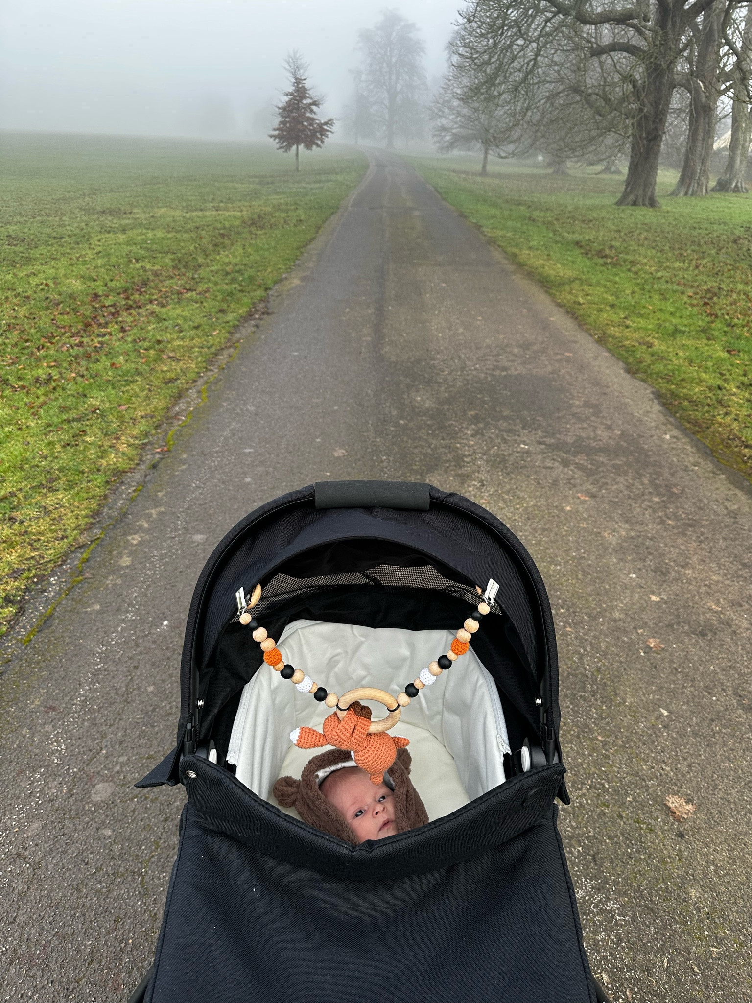 Baby garland 

#LTKfamily #LTKkids #LTKbaby