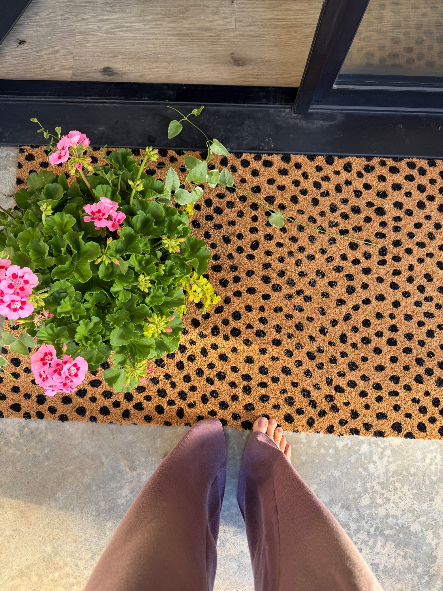 Spotted outdoor mat

#LTKOver40 #LTKSeasonal #LTKHome