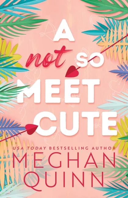 Cane Brothers: A Not So Meet Cute (Paperback) | Walmart (US)