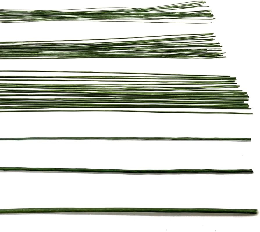 Saktopdeco 21.6 Inch Floral Stems Wire Green Paper Wrapped Wire 18 Gauge 20 Gauge 24 Gauge for Cr... | Amazon (US)