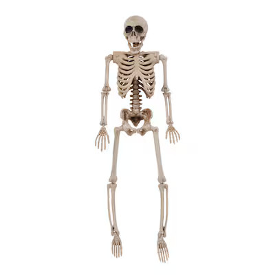 Haunted Living 1-ft Skeleton Figurine | Lowe's