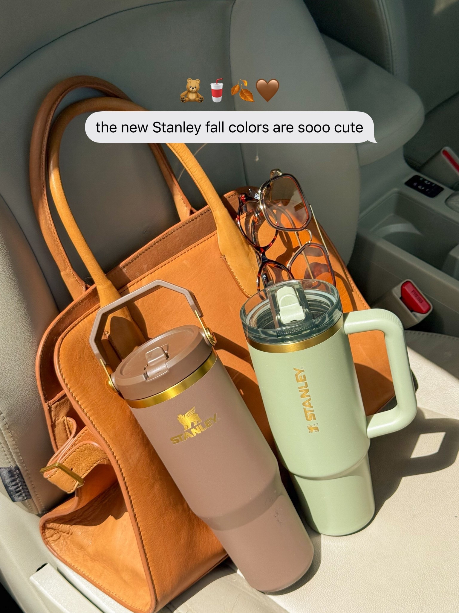 new from the Stanley Crisp Start collection 🧸🤎🫶🏼 got the 30oz IceFlow in Espresso Gold and 30oz Quencher in Juniper! 

#LTKSeasonal