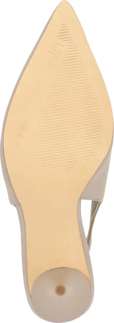 Cinola Slingback Pointed Toe Pump (Women) | Nordstrom