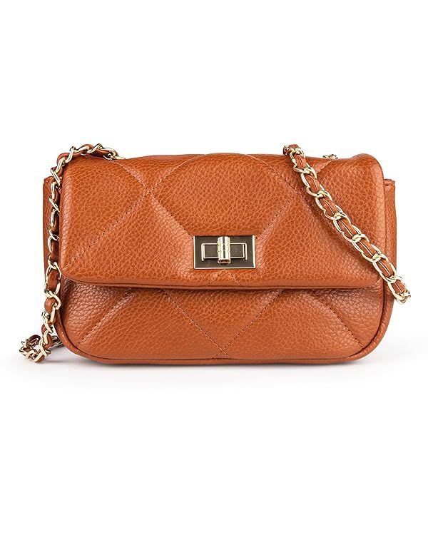 Small Crossbody Bags for Women Quilted Shoulder Bag with Chain Strap | Amazon (US)