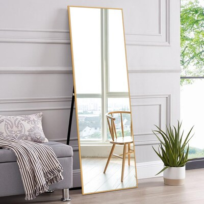 NeuType  24-in W x 63-in H Framed Full Length Floor Mirror | Lowe's