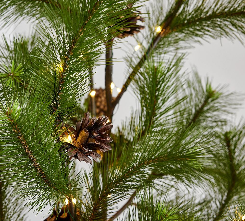 Lit Faux Potted Needle Pine Tree | Pottery Barn (US)