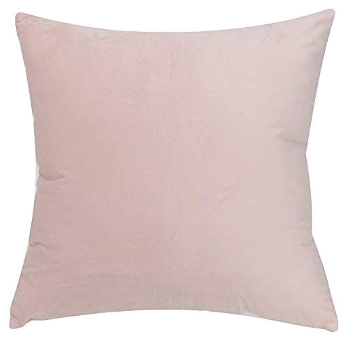 YOYOkmc Velvet Throw Pillow Cover,Solid Decorative Cushion Cover Hidden Zipper Soft Euro Sham for So | Amazon (US)