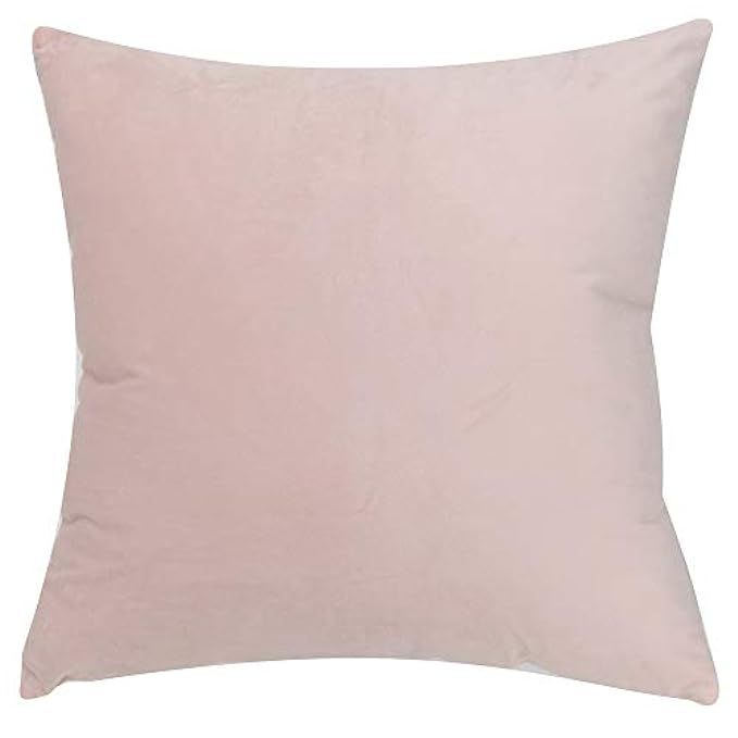 YOYOkmc Velvet Throw Pillow Cover,Solid Decorative Cushion Cover Hidden Zipper Soft Euro Sham for So | Amazon (US)