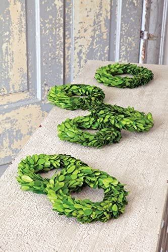 Mini Wreath Preserved Boxwood (Set of 6) | Amazon (US)