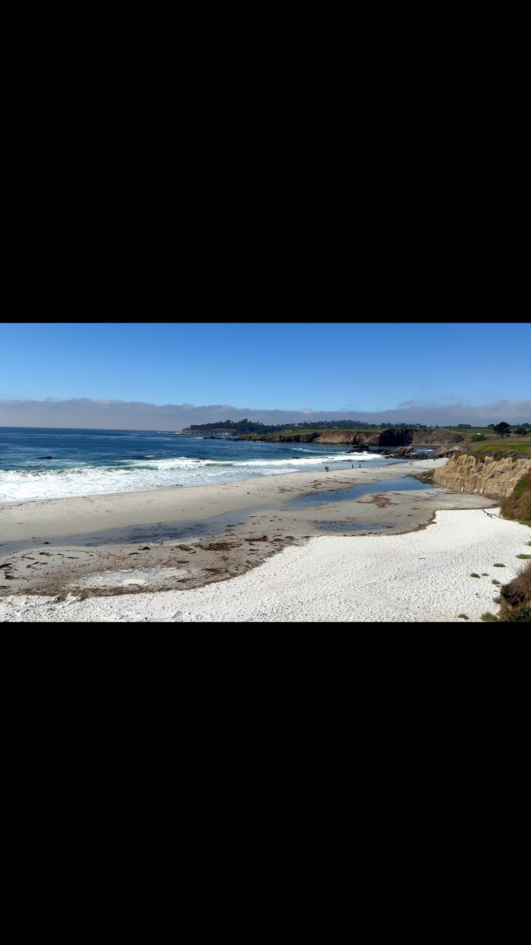 Just in case you needed a little peace today!

#LTKHoliday #LTKActive #LTKSeasonal