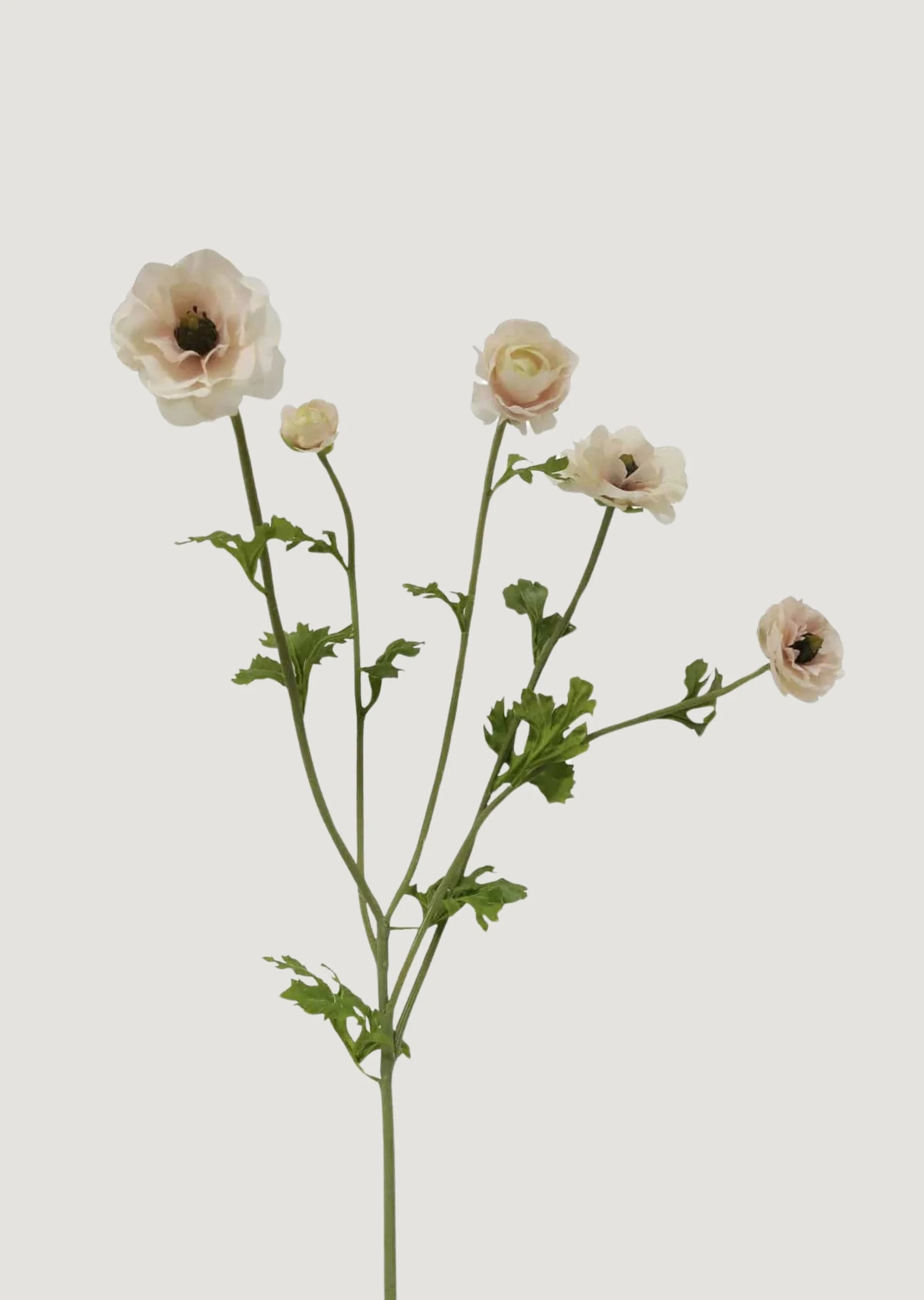 Light Cream Faux Ranunculus Flowers | Fake Flowers at Afloral | Afloral