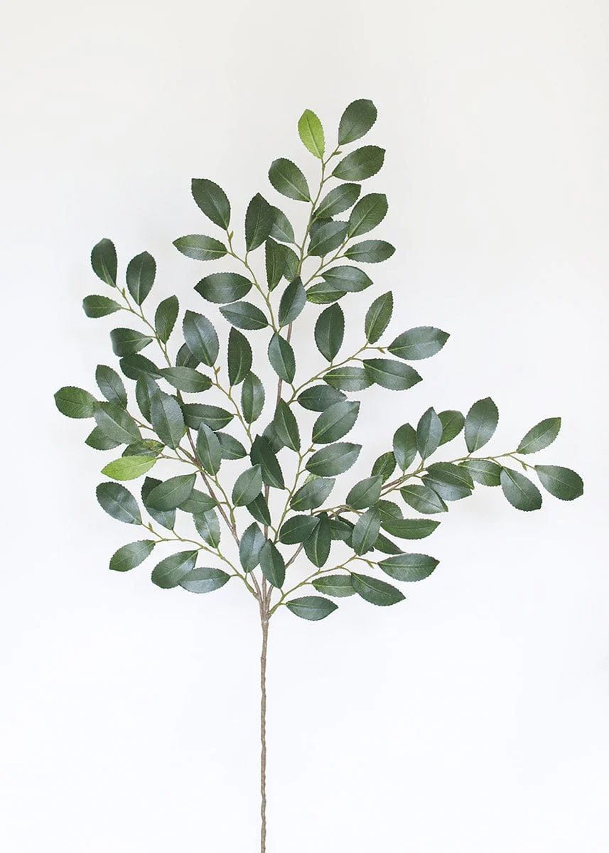 Silk Italian Ruscus Stem - 26" Tall | Afloral (US)