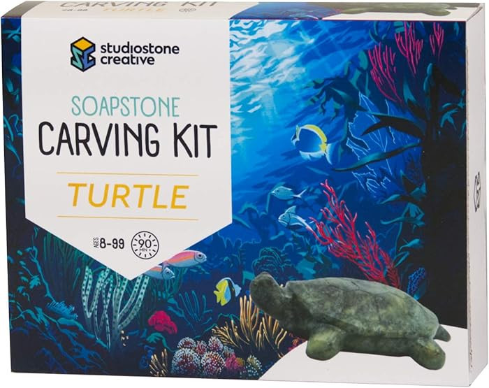 Turtle Studiostone Creative Soapstone Sculpture Carving DIY Arts and Crafts Kit for Kids Adults | Amazon (CA)
