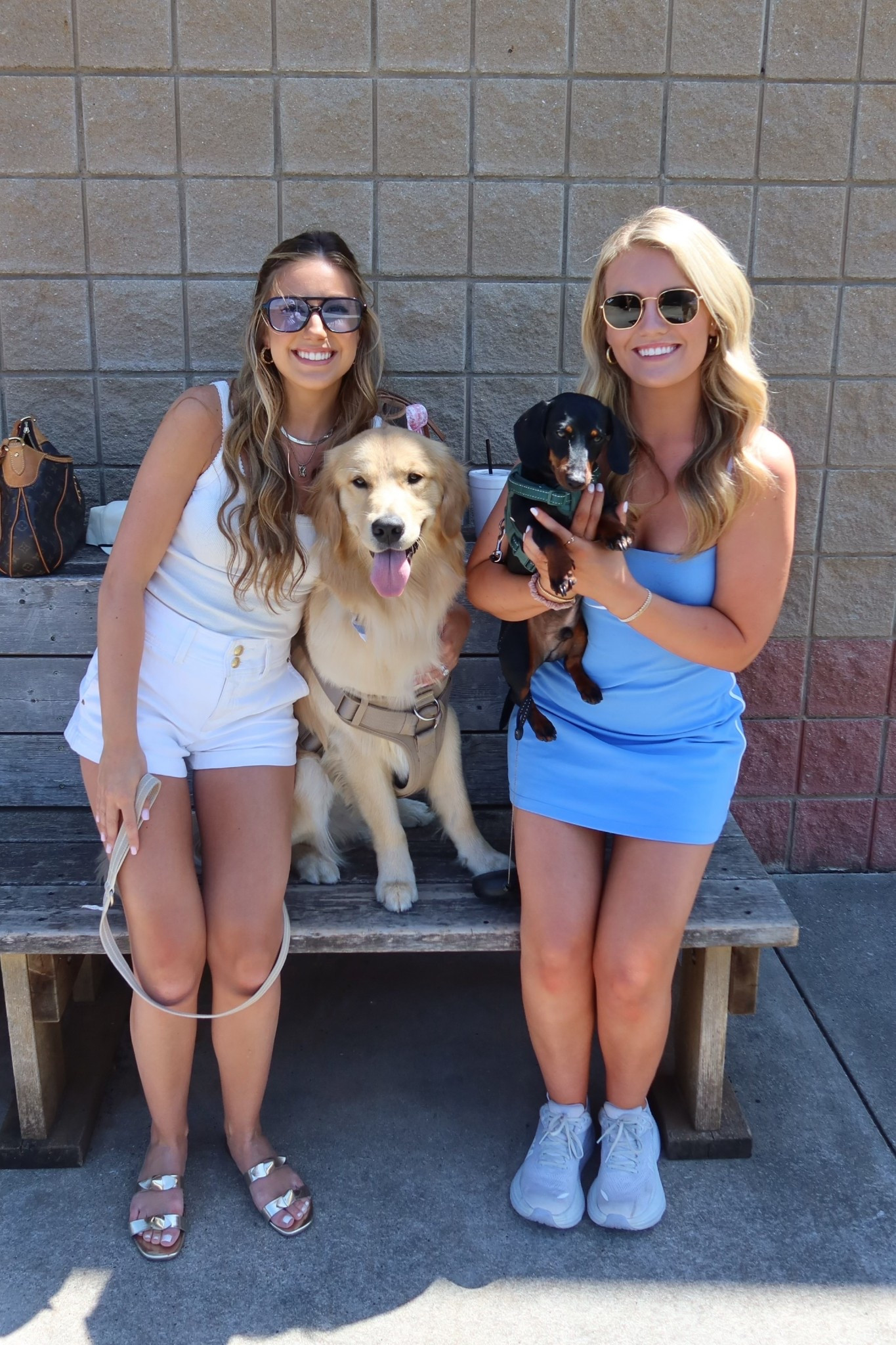 Dog Mom Day Out at the baseball field 🐾☀️ I’m wearing my favorite summer basic athletic tennis dress from alo — I love the way this dress fits and wearing a small! And of course I can’t go anywhere without my Hokas ! 
Shop my summer outfits, dachshund dog essentials, and small dog gear—all linked on my LTK 💙🐶

#SummerStyle #LTKPetStyle #DogMomLife #LTKunder50 #MatchingWithMyDog #PetFriendlyFashion #LTKoutfit #DogMomOOTD #GoldenRetrieverLove #DachshundStyle #WeekendLook #LTKlinkinbio 

 

#LTKSeasonal #LTKActive #LTKPets