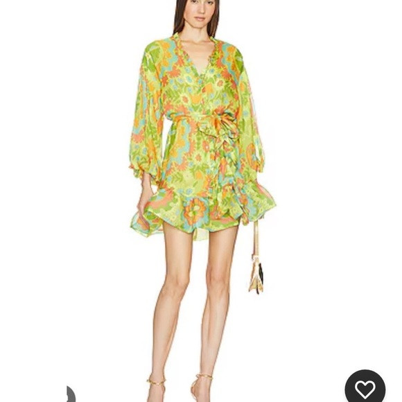 ALEXIS Analia Dress in Silk Camellia Lime S $675 | Poshmark