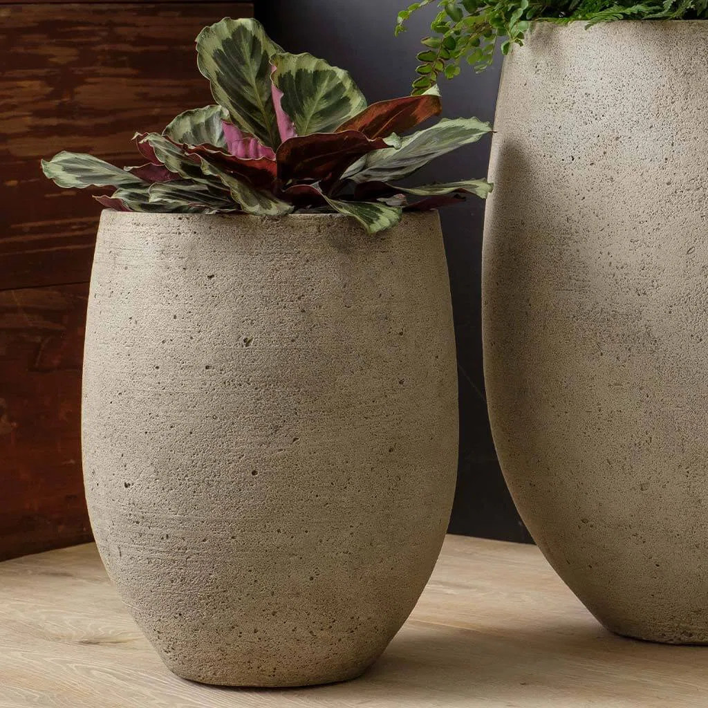 Bebel Planter | Wayfair North America