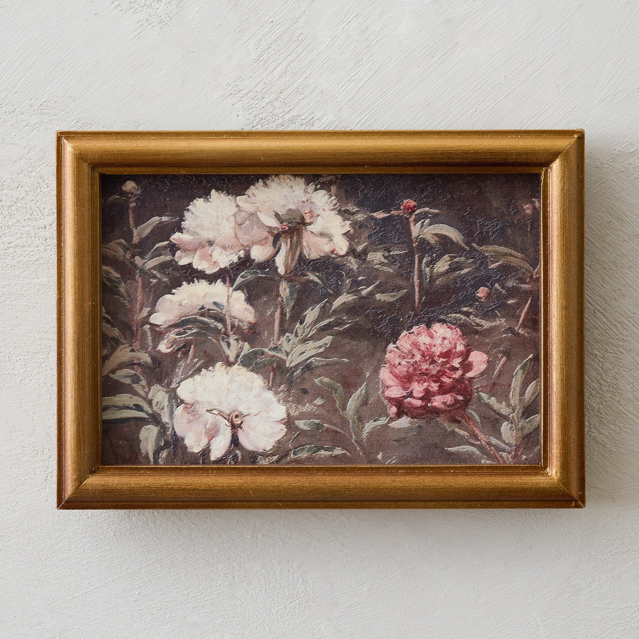 Vintage Botanicals in Bloom Framed Art | Magnolia