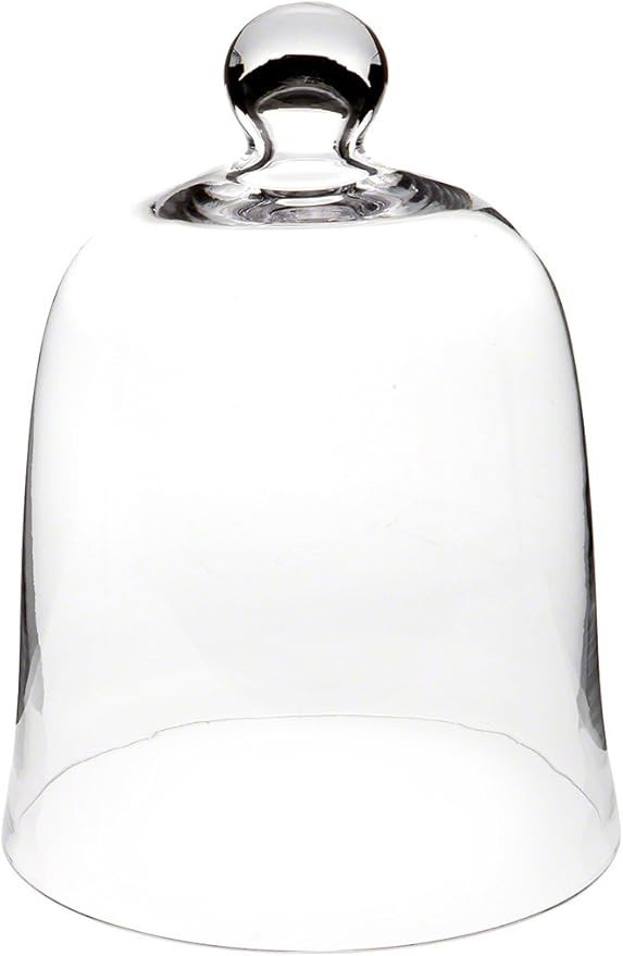 Plymor 8.5" x 11" Bell Jar Glass Display Dome Cloche (Interior Size 8.25" x 9.5") | Amazon (US)