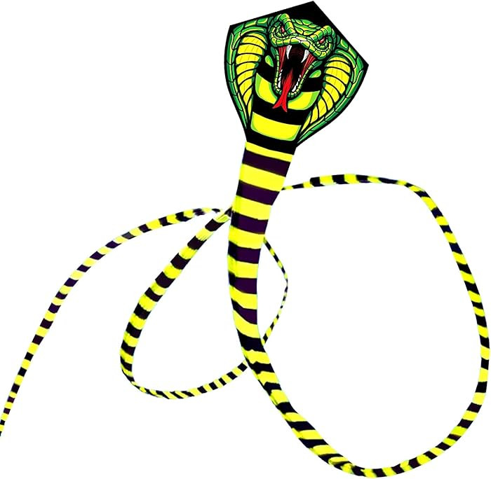 Large Cobra Kite for Kids & Adults, Easy to Fly Snake Kites for Boys, Huge Kite with Super Long T... | Amazon (US)