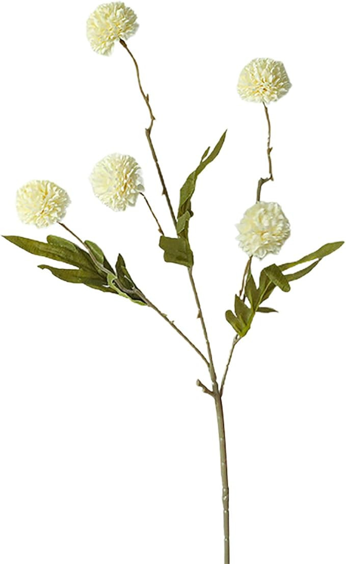 Brand: BARMI | Amazon (US)