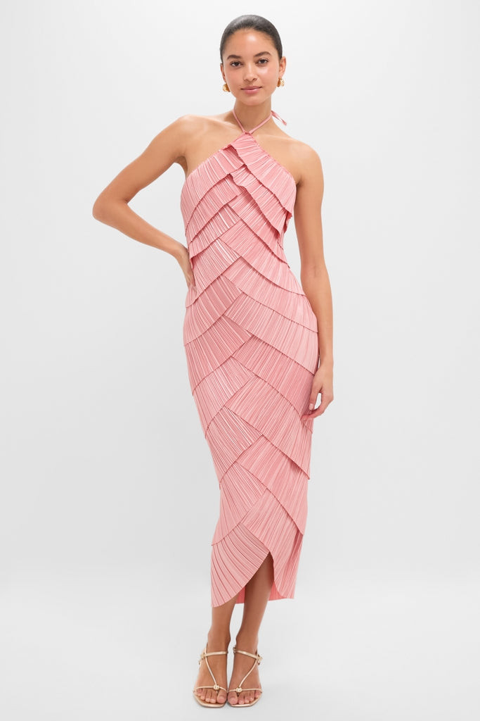 Cult Gaia | Tuckernuck (US)