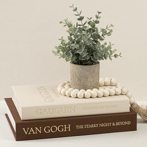 Fveuc Decorative Books for Home Decor - Stackable Faux Book Box for Coffee Table Styling & Hidden Storage - Neutral Linen Fake Books as Display Riser for Shelf & Entryway (Set of 2, Van Gogh Art) | Amazon (US)