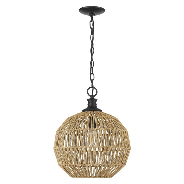 Ember 1 - Light Single Globe Pendant | Wayfair North America