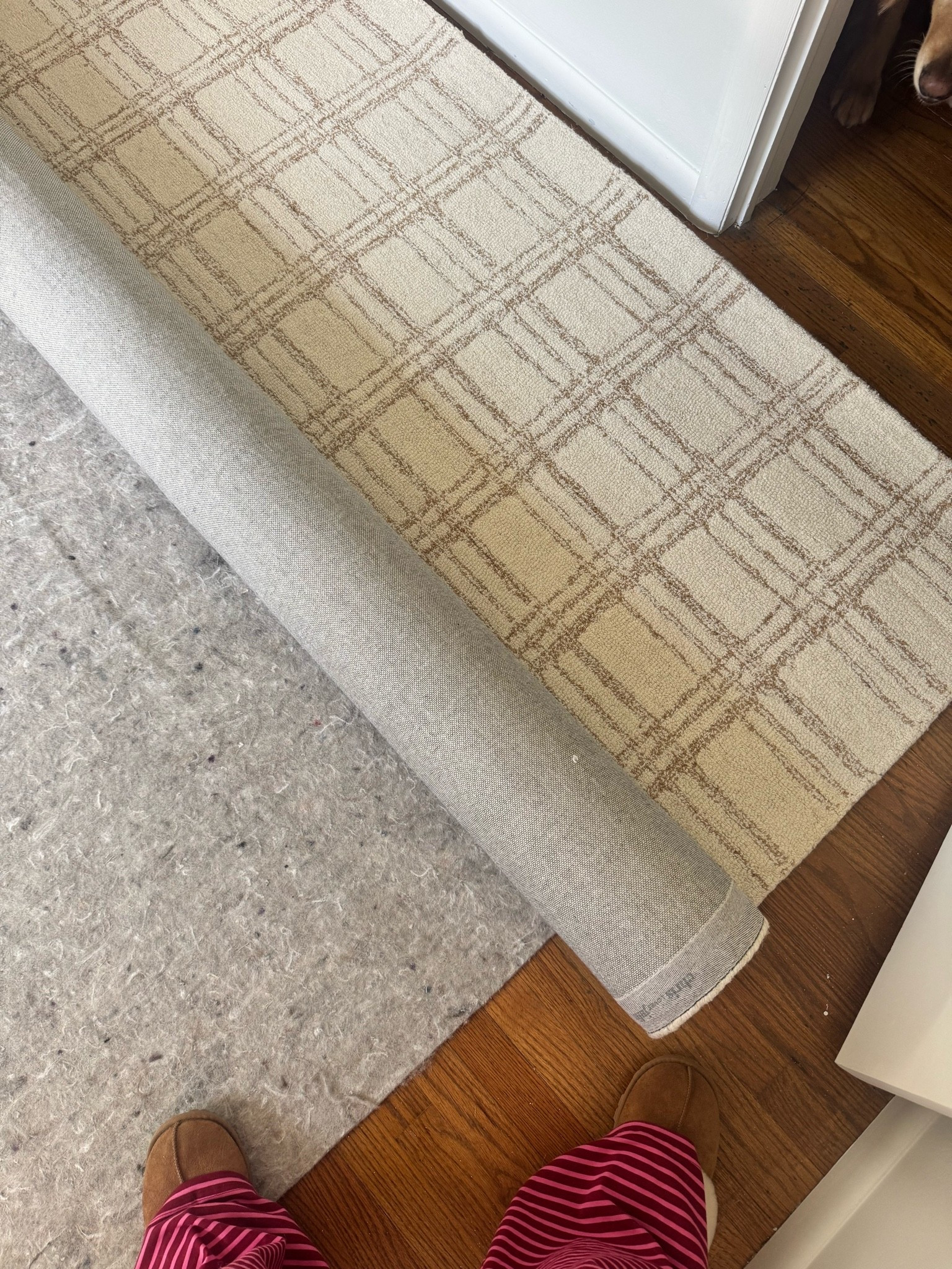 The perfect neutral nursery rug! We got an 8x10 in the color cream/sand

#LTKSaleAlert #LTKHome #LTKBaby