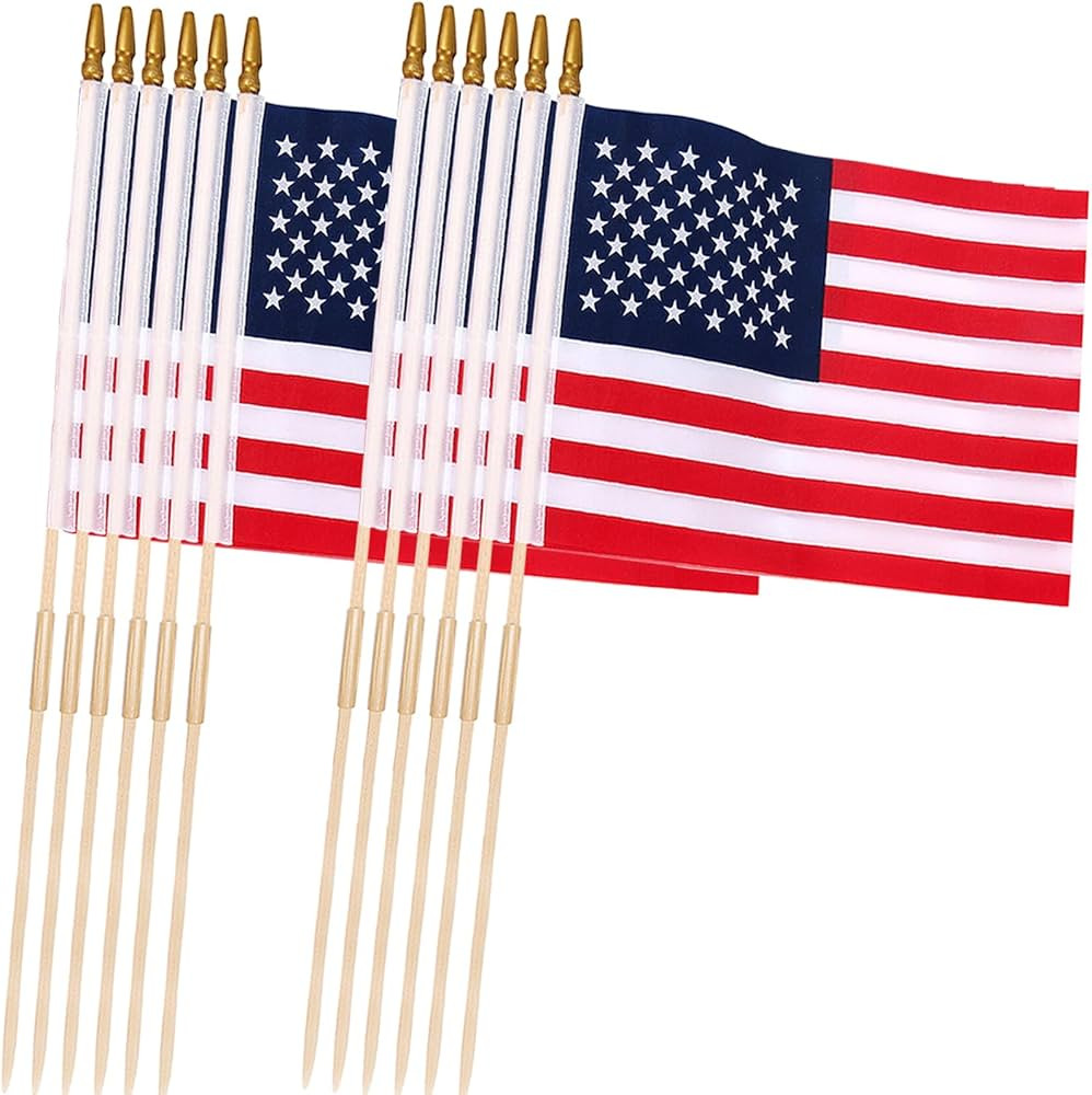 12 Pcs 12x18 Inch American Flags on Stick, American Flags for Outside, USA Stick Flag with Handhe... | Amazon (US)