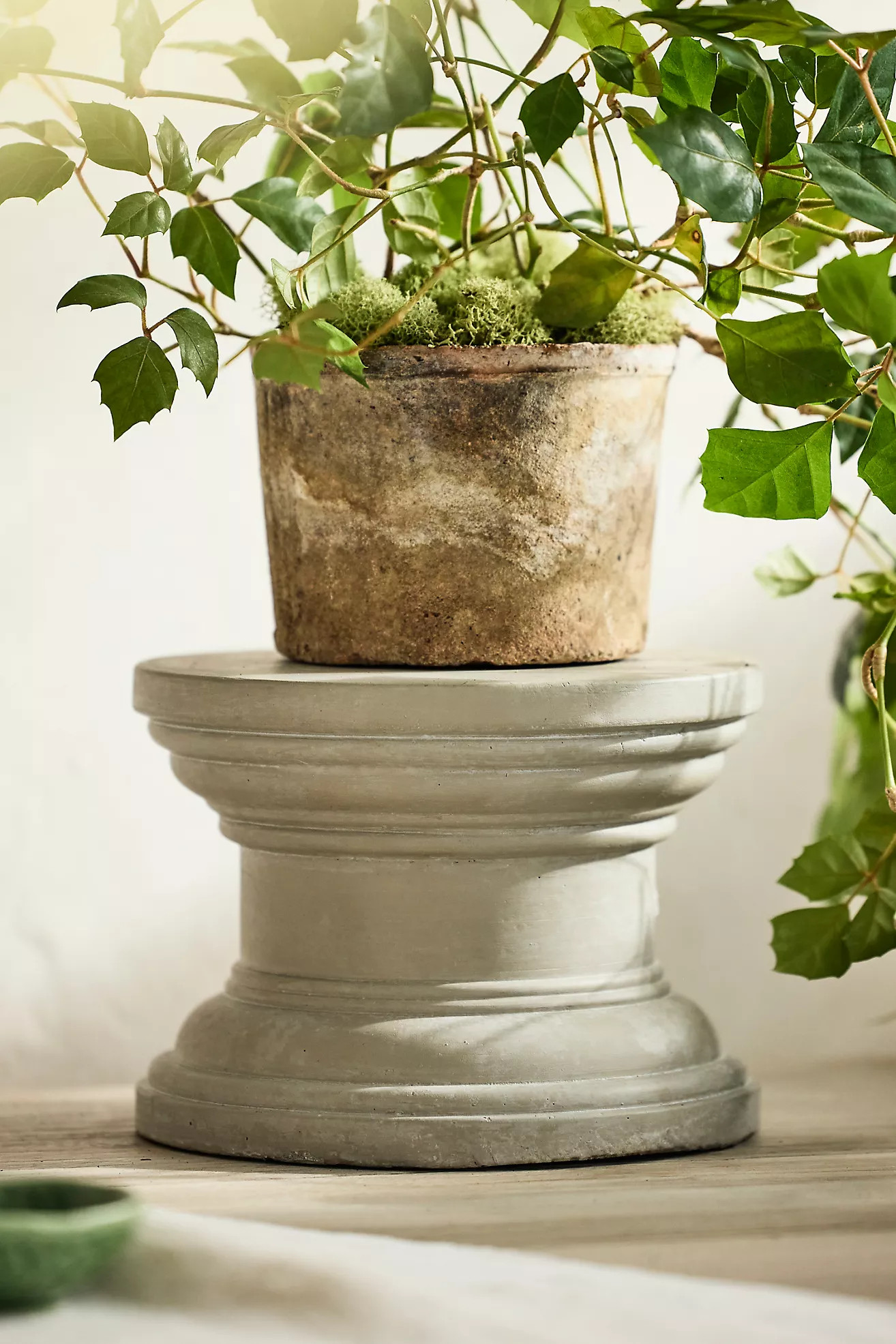 Cement Pedestal Plant Stand, Round | Terrain
