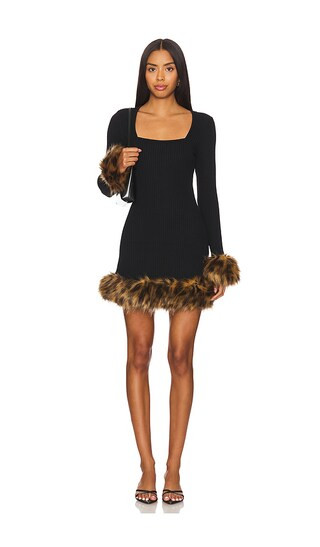 Francine Mini Dress in Black Long Sleeve Fall Dress With Sleeves Winter Dress Winter Outfits 2025 | Revolve Clothing (Global)