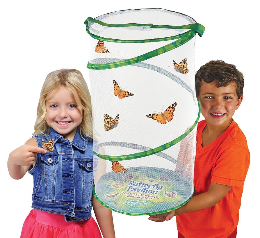 Insect Lore Giant Butterfly Garden with Voucher | 18 Inch Habitat | Life Cycle Figurines Included... | Amazon (US)