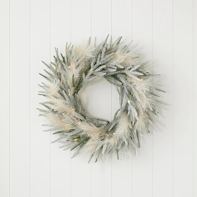 Pine and Pampas Flocked 26" Pre-Lit PE Wreath with LED Lights | Indoor or Covered Outdoor | Fire-... | Amazon (US)