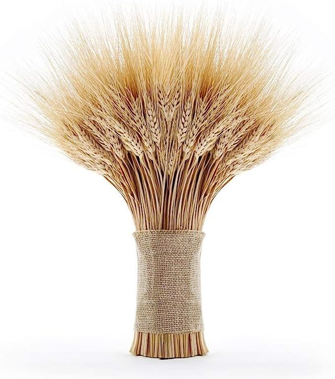 EOSAGA Golden Dried Wheat Sheaves 120 Stems Bundle Premium Autumn Arrangements Full Wholesale DIY... | Amazon (US)