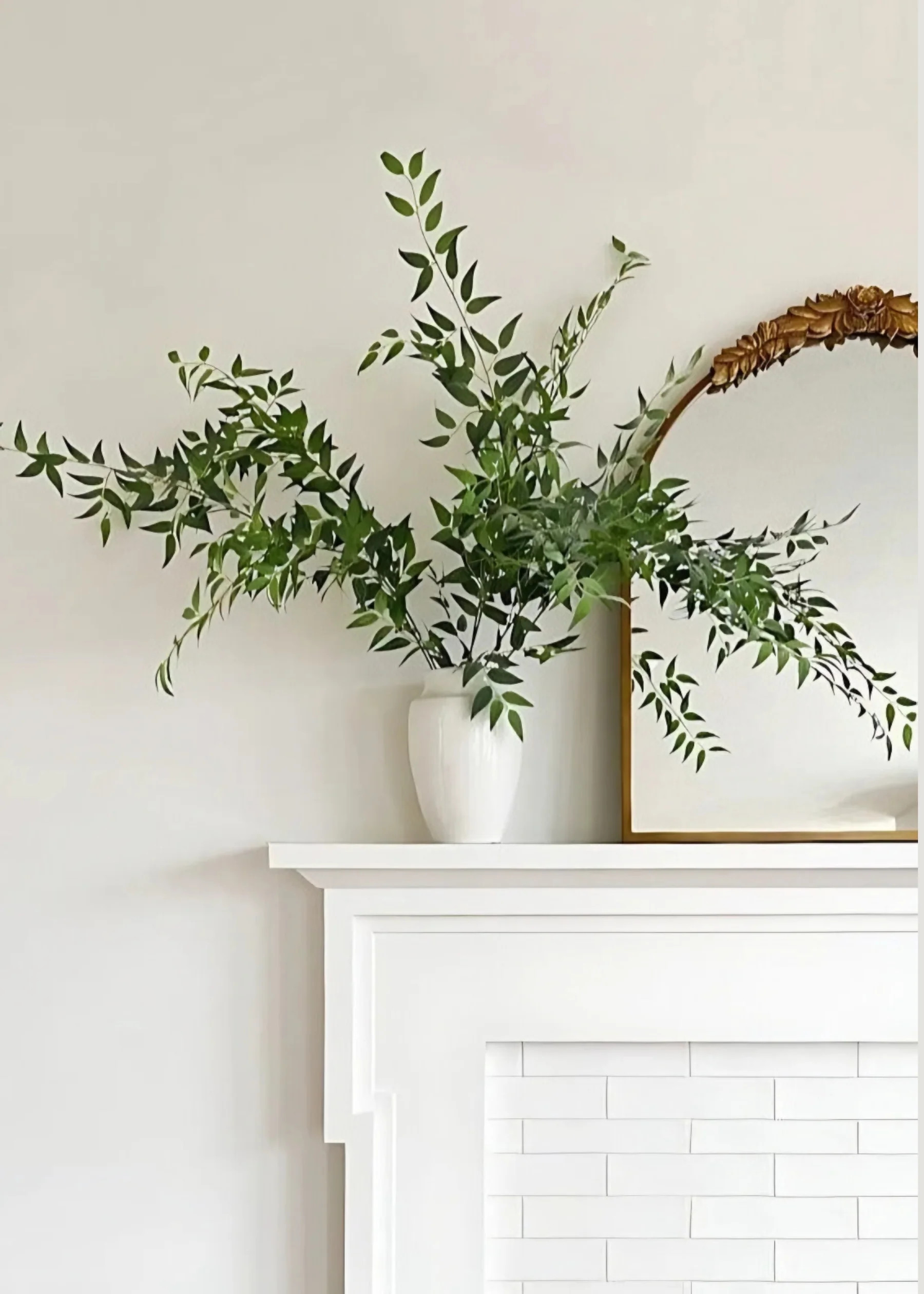 Tall Italian Ruscus Leaf Branch | Fake Leaves & Plants at Afloral.com | Afloral