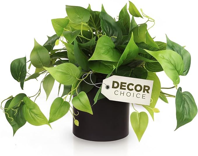 Faux Plants Indoor, Artificial Plants for Home Decor Indoor, Pothos Small Fake Plants - Fake Plan... | Amazon (US)