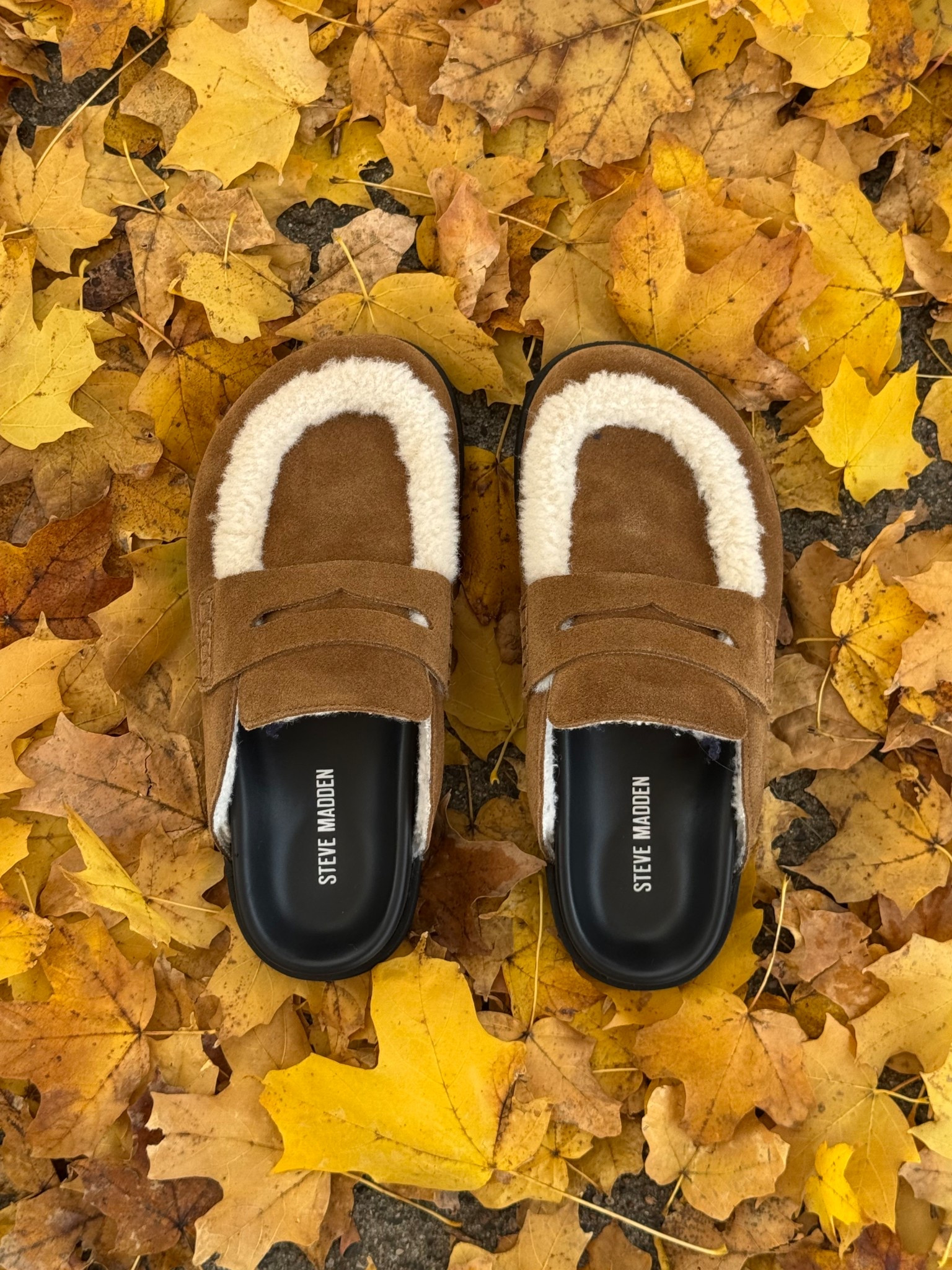 Steve Madden Suede Clogs - I recommend sizing up one size!! 🍂🤎

#LTKSeasonal #LTKStyleTip #LTKGiftGuide