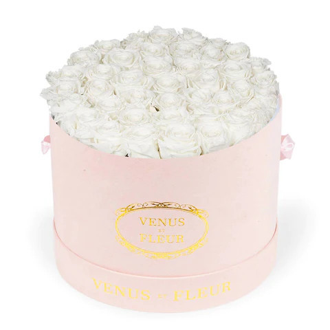 Large Round | Venus ET Fleur