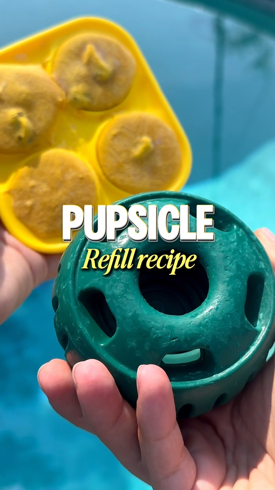 Delicious treat that doubles as inflammation relief and good for digestion 🧡

RECIPE: 
-(1) 15 oz can of pure pumpkin
-(1) small container of plain Greek nonfat yogurt
-Dash of cinnamon 
-Treats of your choice 
-Mix it all up and spoon into mold
-Freeze until solid
-ENJOY! 

I had leftover mix and it was great to add as a topper to lumina’s food 😋

#LTKFindsUnder50 #LTKPets #LTKFamily