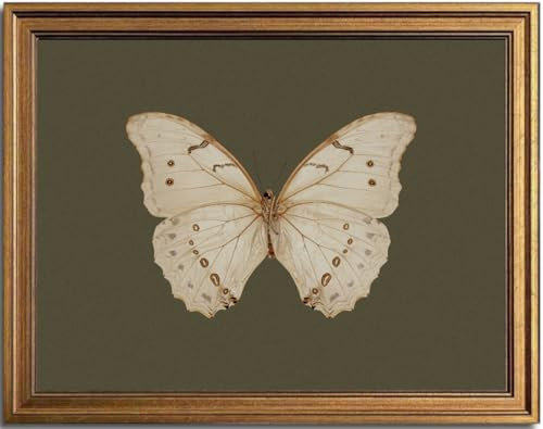 KBKBART Vintage White Butterfly Wall Art, Framed Wall Art Insect Pictures Wall Decor Aesthetic, Dark Moody Cottagecore Room Decor, Sage Green Bathroom Canvas Painting, Desk Shelf Decor, Canvas Wall Art Prints for Bedroom, Living Room(12"x16") | Amazon (US)