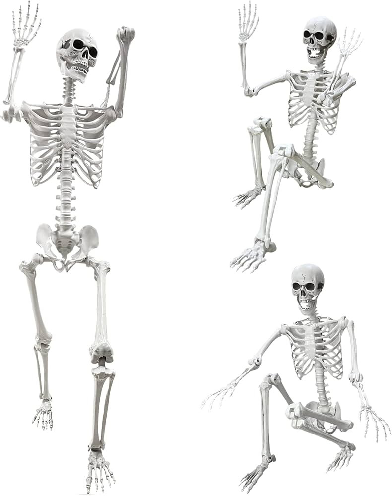 5.4Ft Halloween Life Size Human Skeleton with Movable Joints for Halloween Props Decorations | Amazon (US)