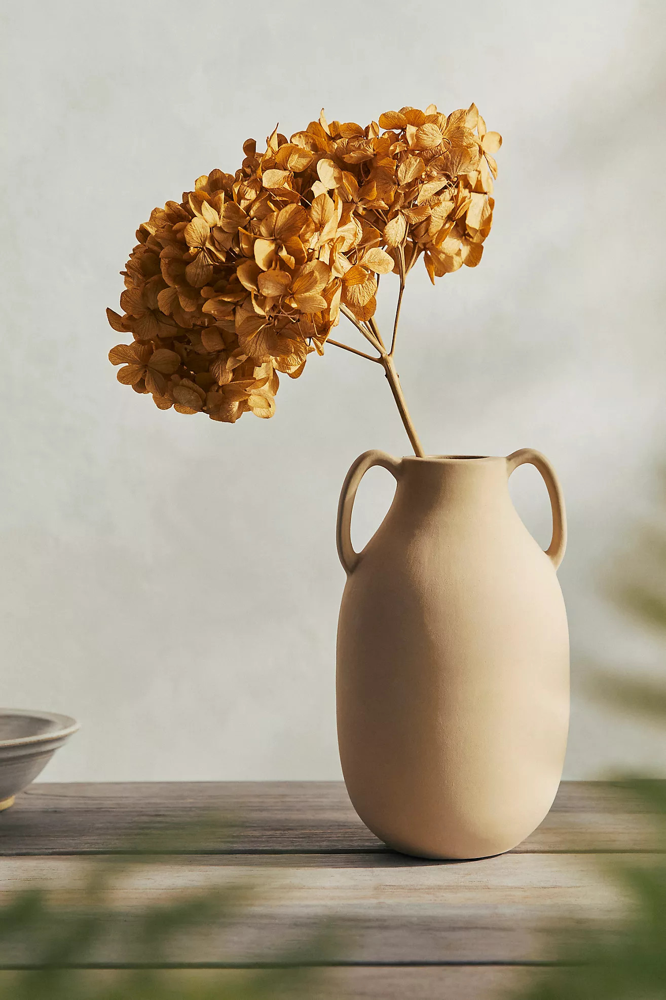 Preserved Hydrangea Bunch, 15"L | Anthropologie (US)