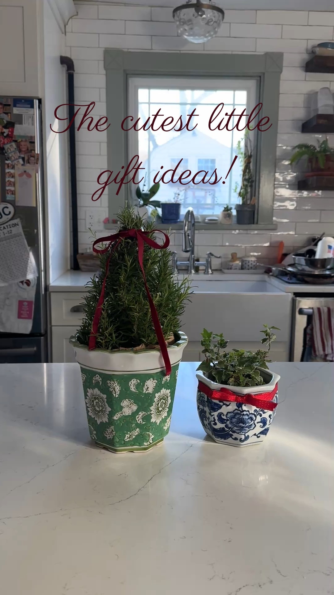 How cute are these little gifts? Perfect for a hostess gift, friend gift, or just an extra add on with a gift card! I love plants in pretty pots & if you tie a ribbon around them, it makes it feel extra special! I bought this Rosemary tree from Trader Joe’s & the green pot from Home Goods & my friend gave me this little blue & white floral pot with the ivy plant (because it reminded her of my blog 🩷). The blue pots come as a set of 3 which is great for keeping for gifts on hand when you need them! 

#LTKGiftGuide #LTKHoliday #LTKHome